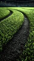 Detailed view of freshly cut grass with curved lines on a sports field at twilight showcasing an inviting atmosphere for athletes photo