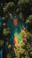 Basketball players enjoy an afternoon game on a vibrant court surrounded by lush trees in a city park photo