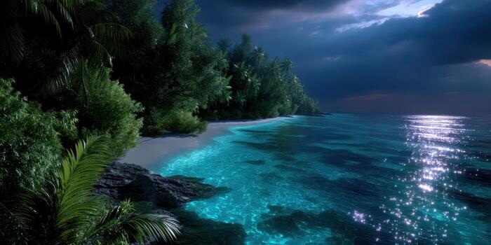 Serene beach view under the night sky with shimmering water and lush palm trees photo