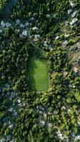Soccer field surrounded by lush greenery and hillside homes during golden hour photo