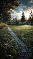 Grass field with white line under golden sunset and trees in peaceful sports location photo