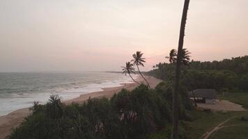 Aerial rising view fly over Turtle Beach on Sri Lanka southern coast with setting sun background. Golden sunset light. Swaying palm trees revealing romantic tropical shoreline with gentle waves video