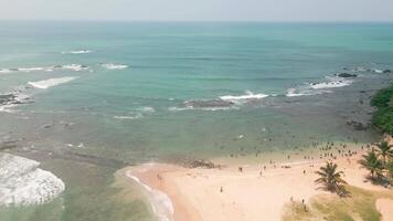 Aerial circular view crowded beach in Tangalle, Sri Lanka, where tourists enjoy swimming and sunbathing along the tropical coastline. A lively vacation scene with turquoise waves and palm-lined shores video