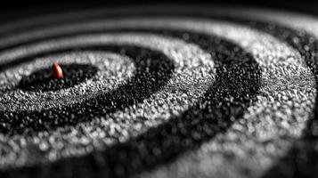 Concentric circles of fine salt with a single red object at the center create a striking visual contrast photo