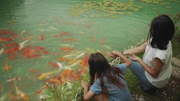 Child and adult feeding koi fish together by the pond in a joyful and natural setting video