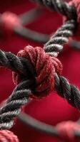 Intricate knot of red and black rope captured in vivid detail against a striking background photo