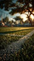 Evening sunlight illuminates a tranquil sports field with lush grass and a shadowy tree in the background photo