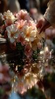 Delicate hands gently pouring water over pink and white blossoms reflected in serene water during a tranquil celebration photo