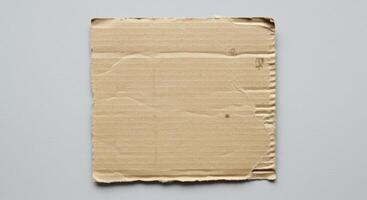 Ripped Corrugated Cardboard Texture Detail photo