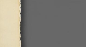 Close up of a torn paper edge texture photo