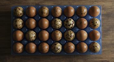 Mixed Chicken and Quail Eggs in Blue Plastic Tray on Wooden Table photo