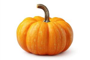 Orange Pumpkin - Realistic Texture, Seasonal Harvest photo