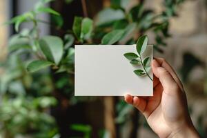 A hand holding a blank card with a leaf on it photo