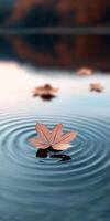 Floating red maple leaves on crystal-clear lake reflecting blue spring sky photo