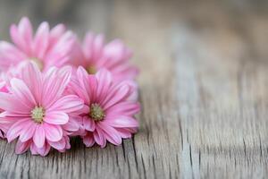 Pink daisies arranged on rustic wooden table photo