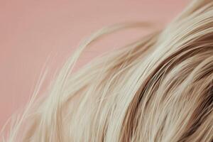Soft flowing hair against a pale background photo