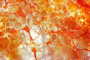 Vibrant abstract cellular network photo