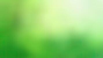 Soft green blurred background with bright sunlight effect for abstract design and presentations photo
