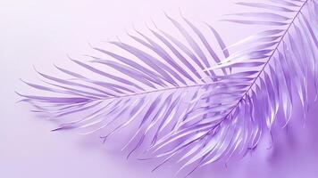 Elegant lilac palm fronds against a soft gradient background for minimalist designs photo