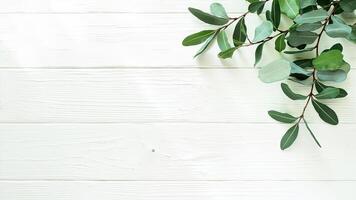 Eucalyptus greenery on a rustic white wooden background creating a natural and elegant aesthetic suitable for various design projects. photo