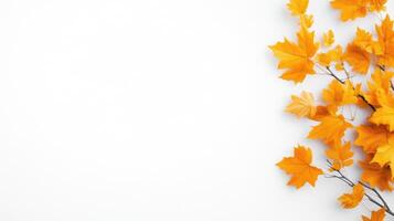Autumn Maple Leaves on White Background Minimalist Style High Resolution Photography Horizontal Composition Natural Textures Fall Season Design Warm Golden Hues Ideal for Seasonal Greetings photo