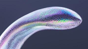 Abstract iridescent snakeclike form photo