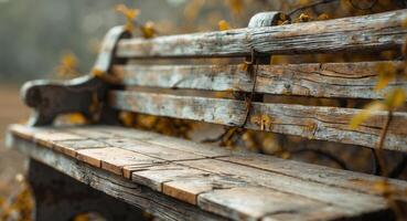 Weathered Wooden Park Bench with Autumn Vines, Offering a Moment of Solitude photo