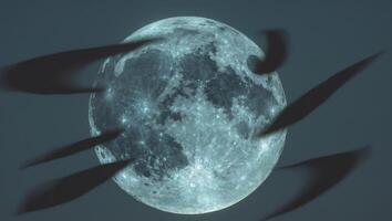 A full moon with black birds flying around it photo