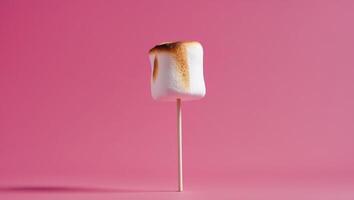 A marshmallow on a stick on a pink background photo