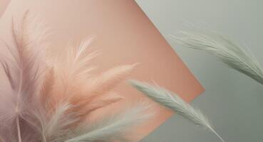 Soft Hues and Feathered Textures. A Gentle Pastel Composition for Serene Aesthetics. photo