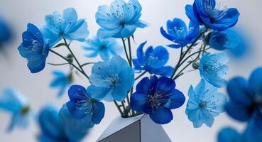Blue flowers in a vase on a table photo