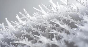 Frosty snow crystals on a grey background photo