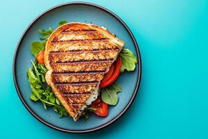 Top View Of Roasted Red Pepper And Goat Cheese Panini On Vibrant Background With Copy Space, Food Image photo