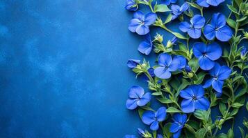 Top view Veronica on a vibrant background, flower setting photo