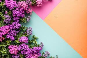 Verbena on a vibrant background, top view photorealistic flower photo