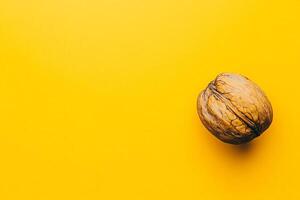 Top view Walnut on a vibrant background, plant setting photo
