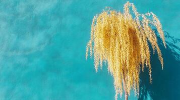 Willow on a vibrant background, photorealistic top view Willow plant photo