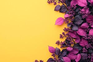 Top view Witch Hazel on a vibrant background, plant setting photo