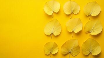 Yellow Poplar on a vibrant background, top view photorealistic plant photo