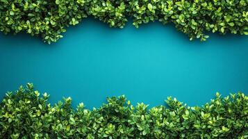 Yew Bush on a vibrant background, top view photorealistic plant photo