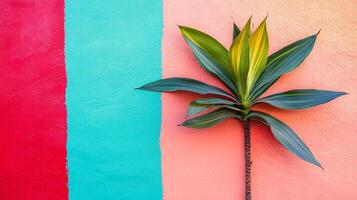 Top view photorealistic Yucca, plant set on a vibrant background photo