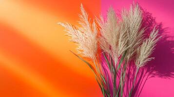 Zebra Grass on a vibrant background, photorealistic top view Zebra Grass plant photo