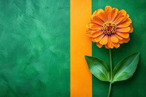 Zinnia on a vibrant background, top view photorealistic flower photo
