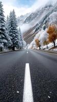 An empty road with trees and snow on the side photo
