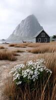 A house on the beach with a mountain in the background photo