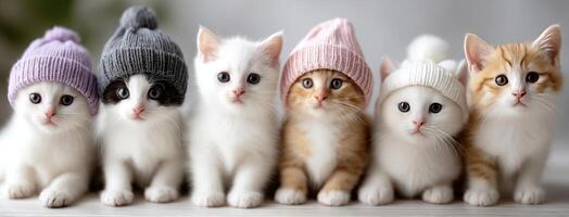 Five kittens wearing hats and sitting in a row photo