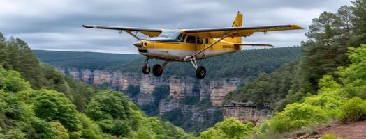 A small plane flying over a canyon with trees and mountains photo