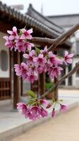 A pink flower is on a branch in front of a building photo