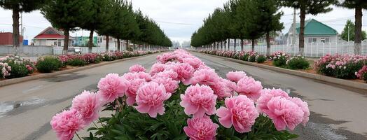 A row of pink flowers in a street lined with trees photo