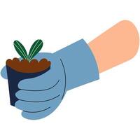 Hand in Glove Holding Small Plant Pot. Gloved hand gently holding a small pot with a green sprout. Home gardening. vector